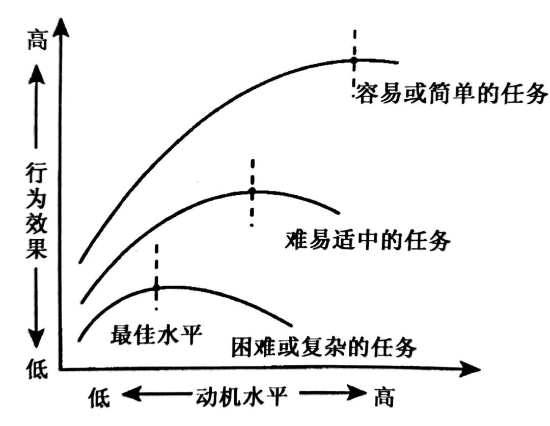 动机强度与活动效率的关系