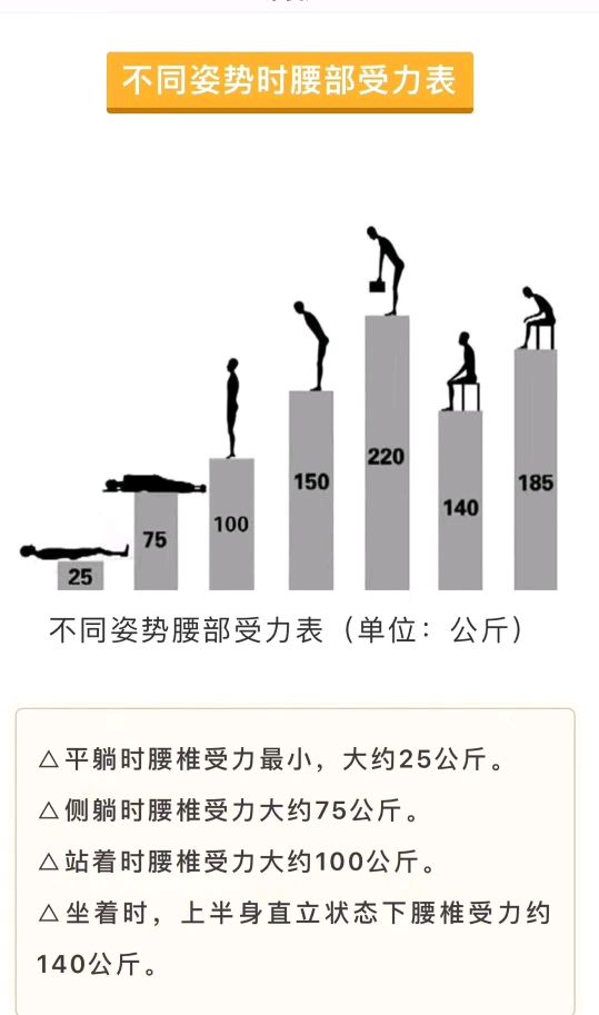 不同姿势下腰部受力表