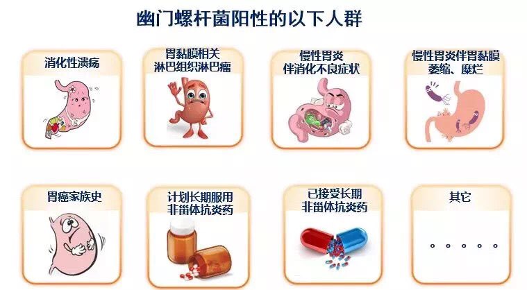 网红幽门螺杆菌,拥有7亿粉丝,远超过魏璎珞