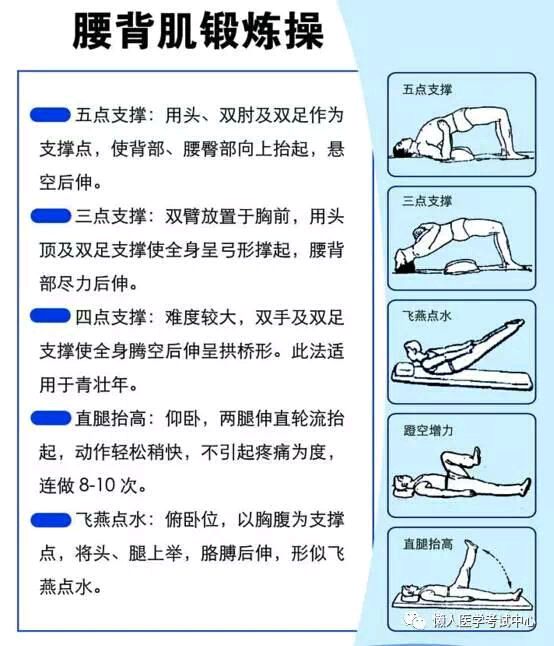 腰肌的最佳锻炼方法图图片