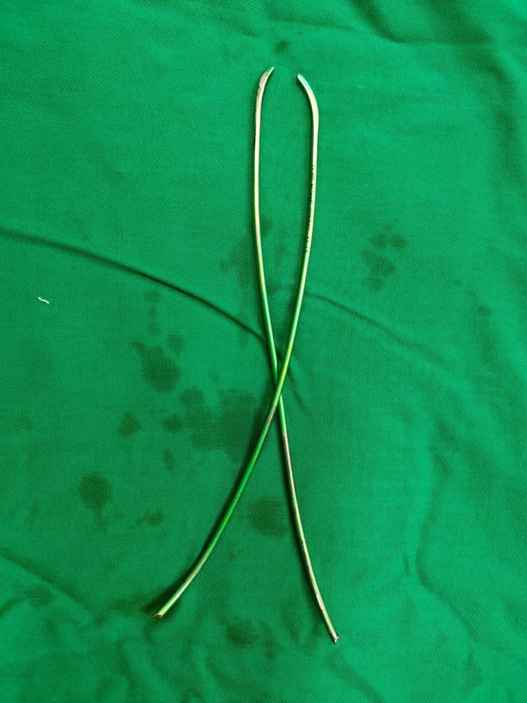 儿童弹性髓内钉