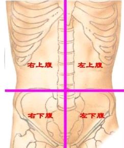 肝脏,胆囊,十二指肠,胰头,右肾,结肠肝曲等;右下腹包含的器官包括