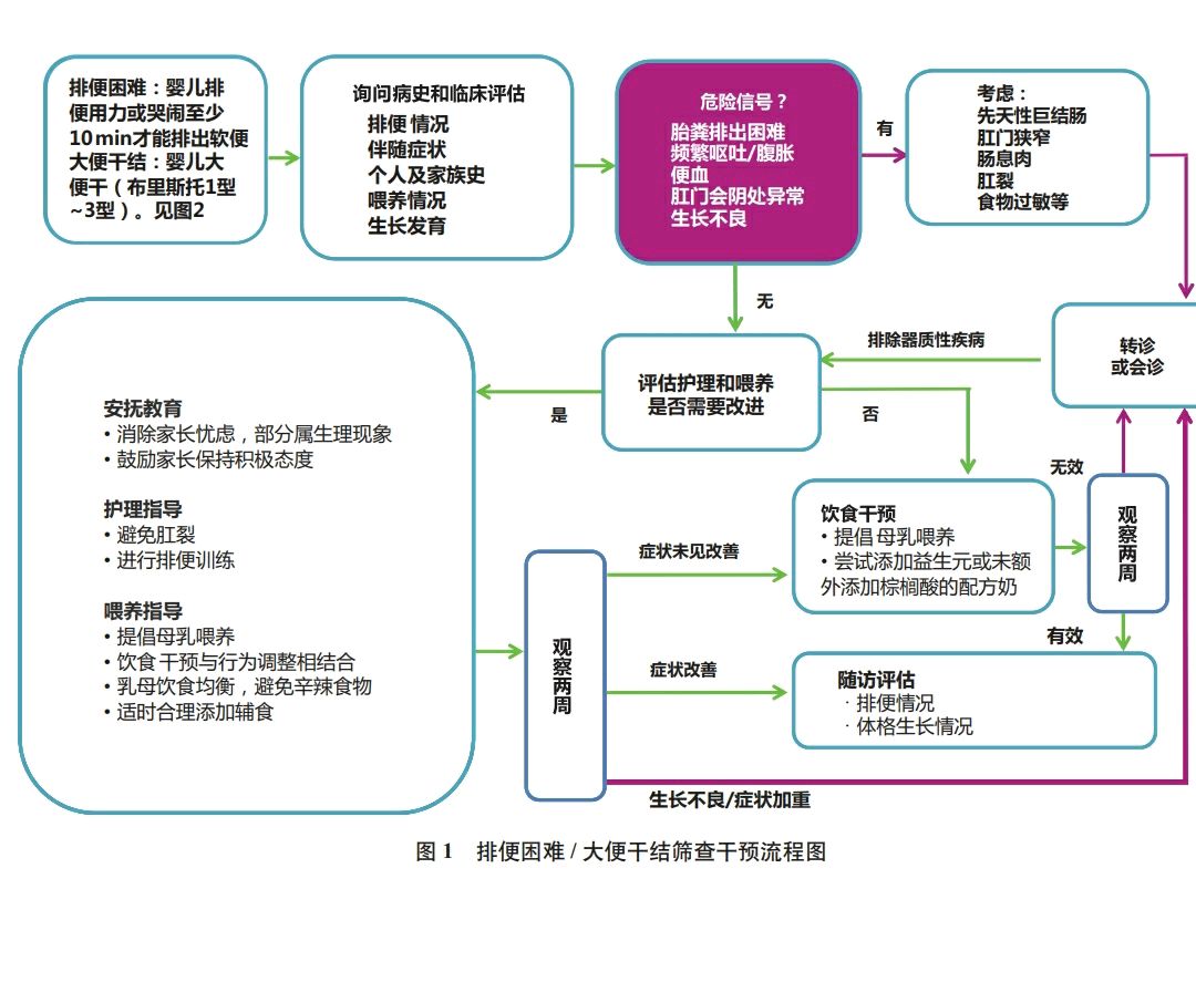 排便流程图图片