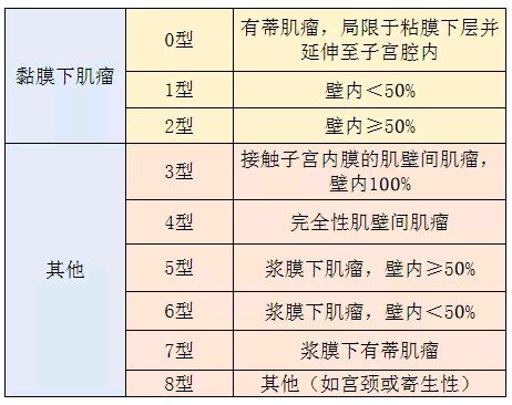 肌壁间子宫肌瘤10x10mm图片