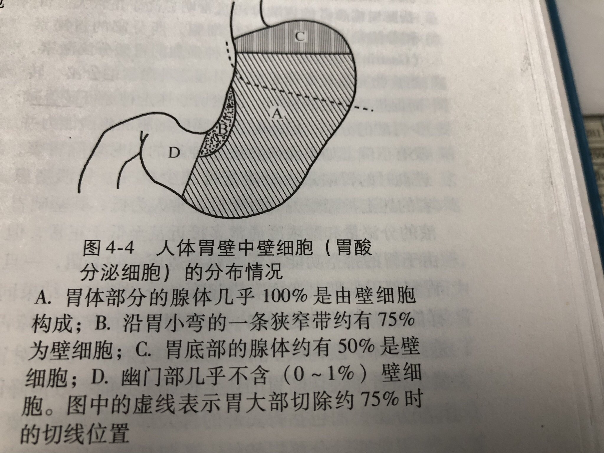 圖片加載失敗