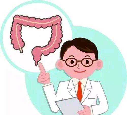 我想做电子肠镜需要注意什么