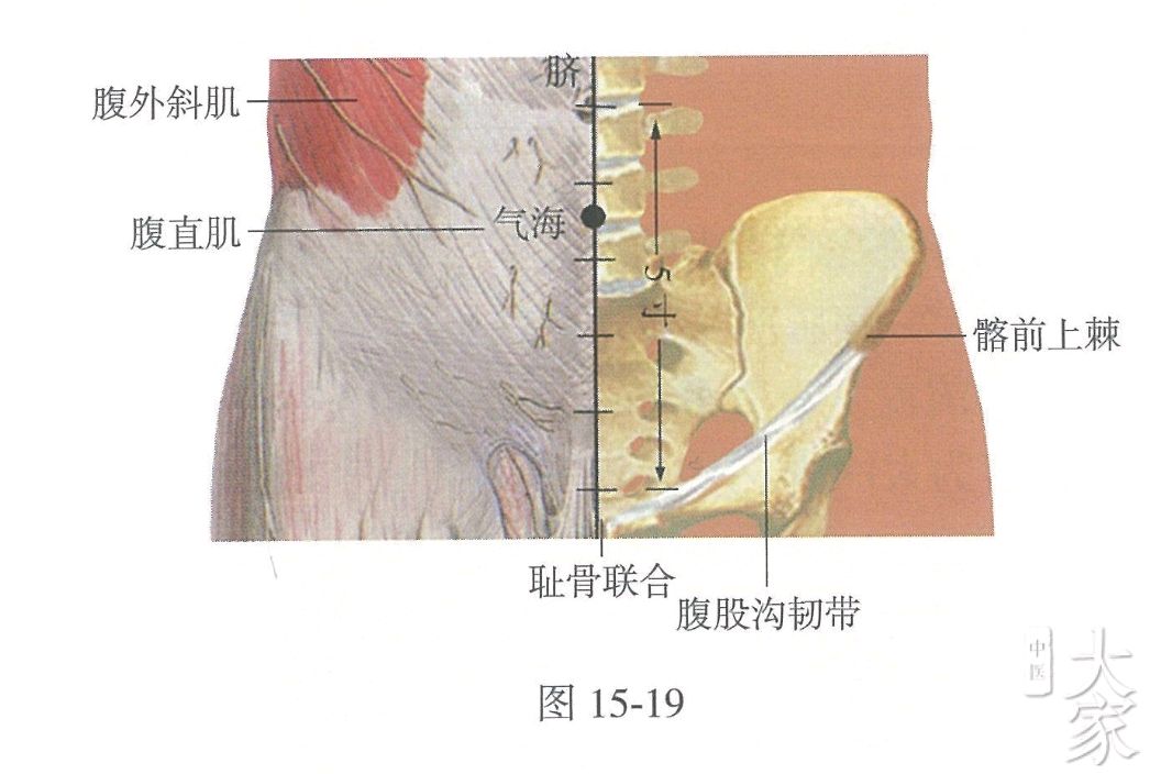 5911寸;可灸.孕妇慎用《胜玉歌》诸般气症从何治,气海针之灸亦宜.