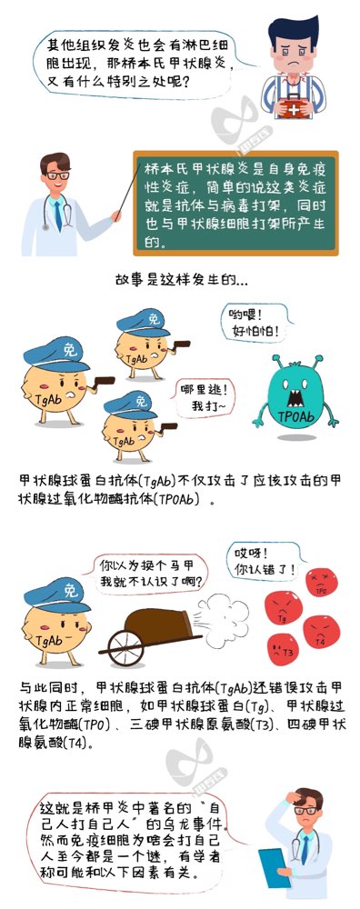 图片加载失败