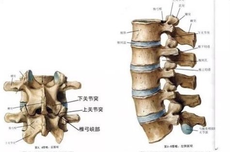 图片加载失败