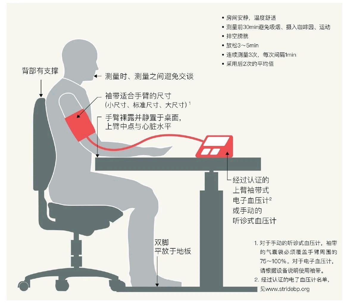 下肢血压测量方法图解图片