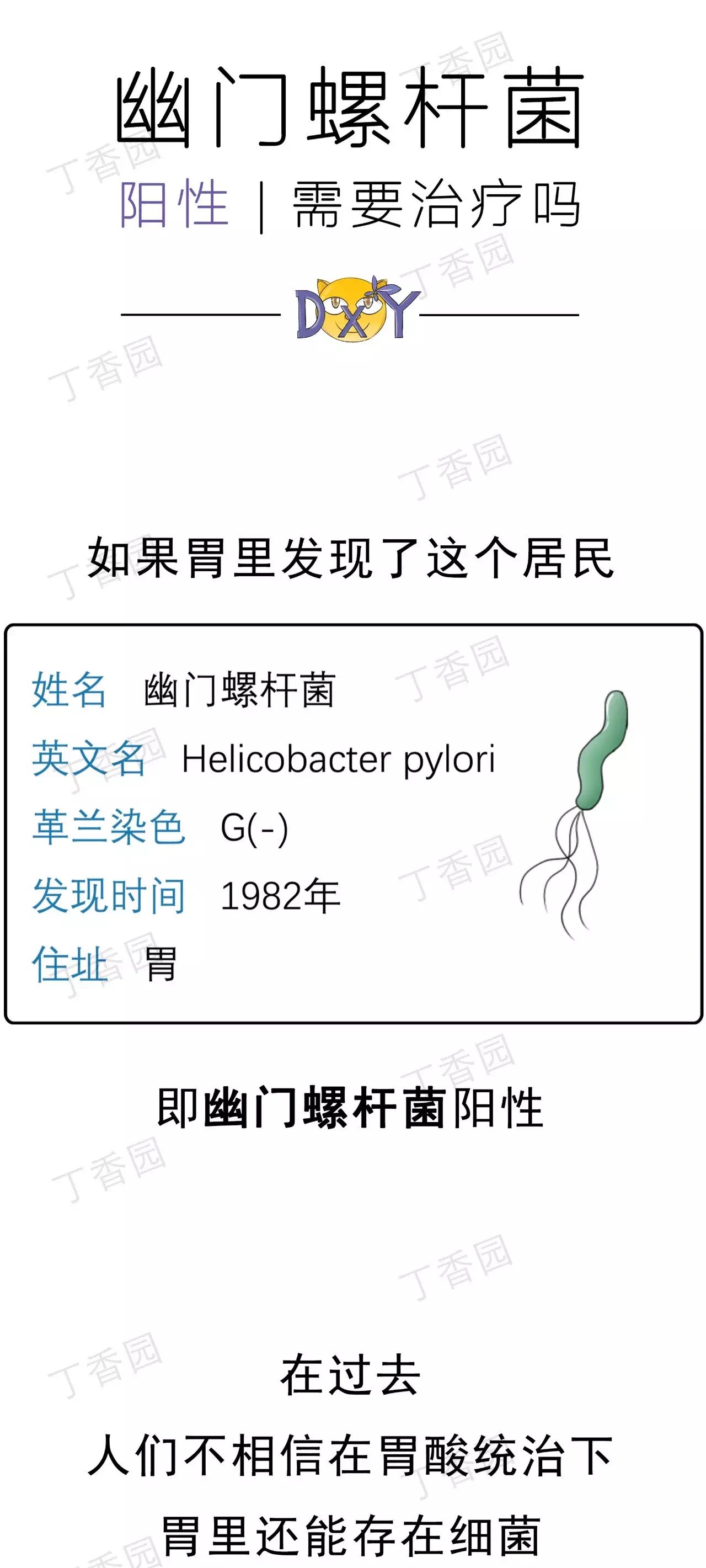 幽門螺桿菌陽性究竟要不要治療