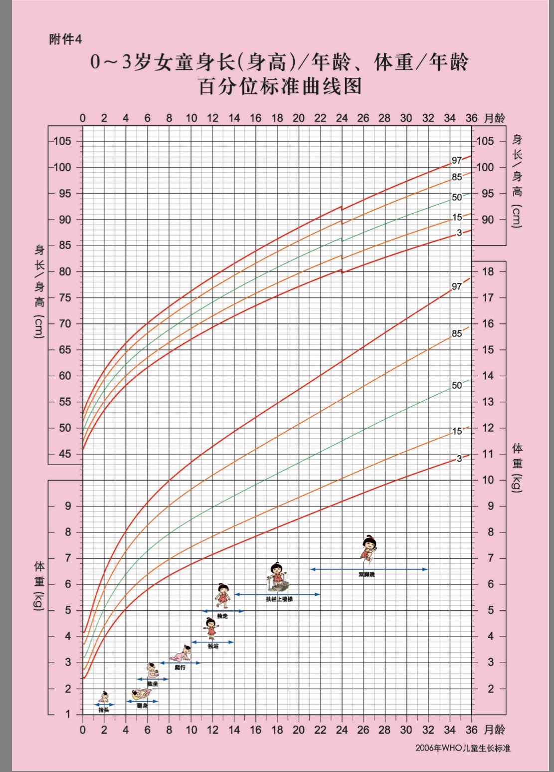 0一3岁体格发育图表