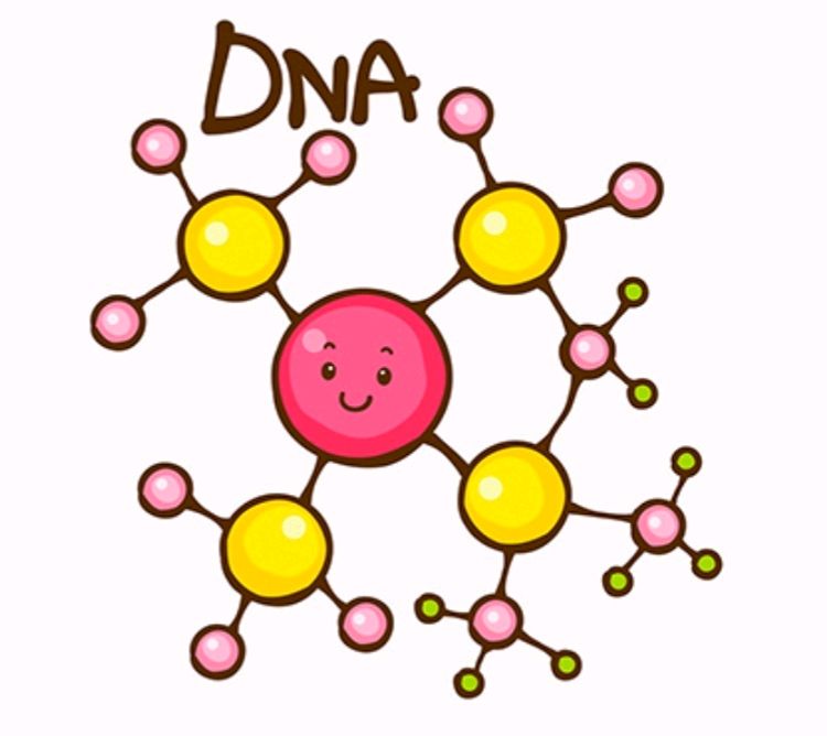 遗传卡通图片图片