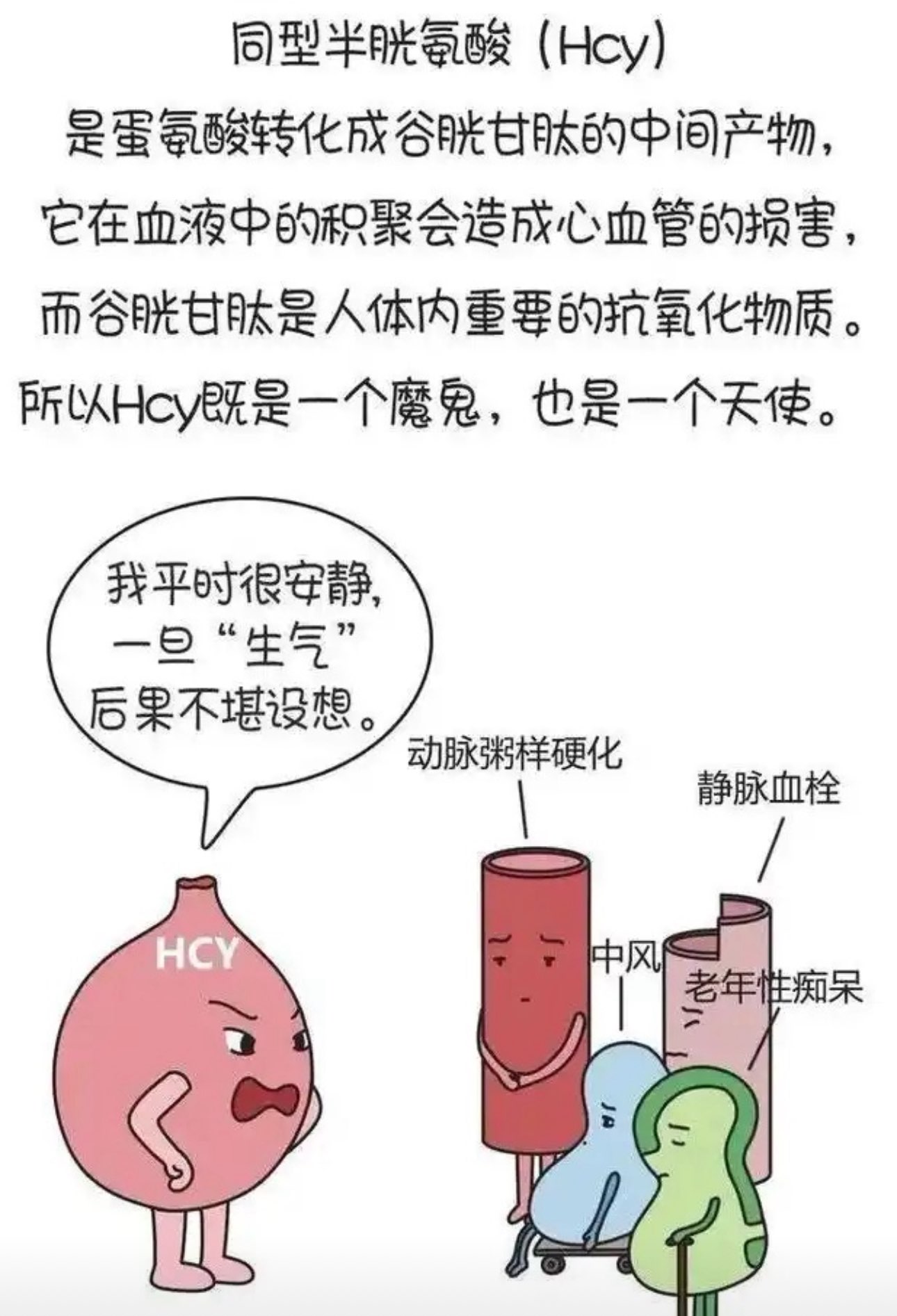 图片加载失败