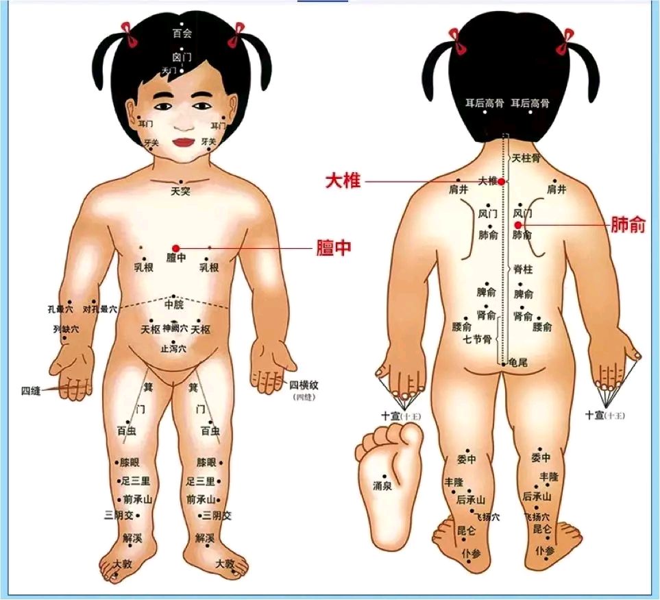 感冒贴儿童位置图解图片