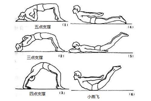 腰背肌锻炼6个动作图图片