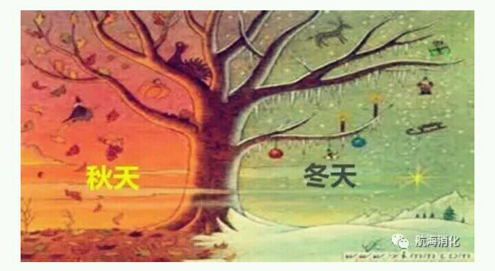 你的胃肠怕冷吗？乘着秋凉开始耐寒锻炼吧！-春雨医生