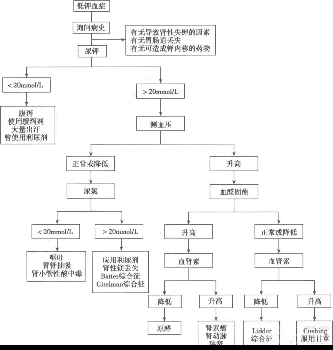 低钾血症和临床补钾(1g氯化钾一般可以升高02mmol血钾)