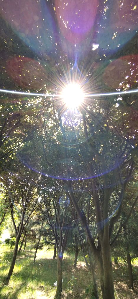 愿作那束光照射周围人