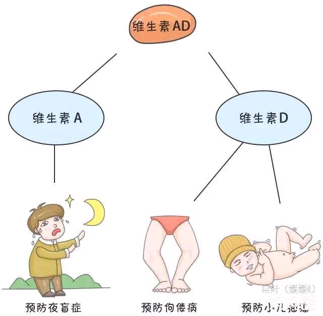 维生素a与维生素d